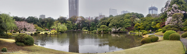 東京のど真ん中で大自然が楽しめる 広大な敷地面積を誇る 緑いっぱいの新宿御苑 しんじゅくぎょえん に出掛けよう J T Japanese Traditions And Culture