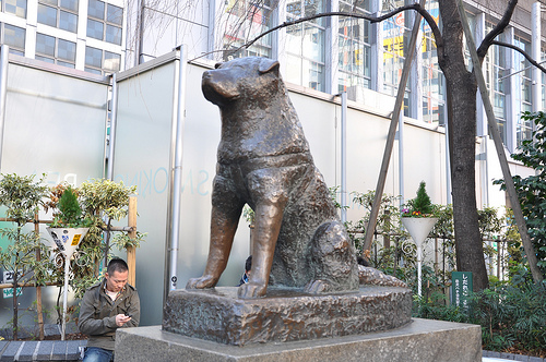 Real Hachiko Funeral