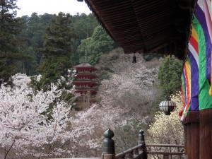 長谷寺 - Hase-dera // 2010.03.31 - 16