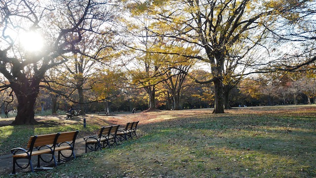 代々木公園駅周辺でおすすめのレストラン５選 日 本 Japanese Traditions And Culture