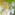 [:ja]日本の伝統的な音風景 - 風鈴と水琴窟[:en]Traditional Japanese Soundscapes - Wind Chimes and Suikinkutsu[:]
